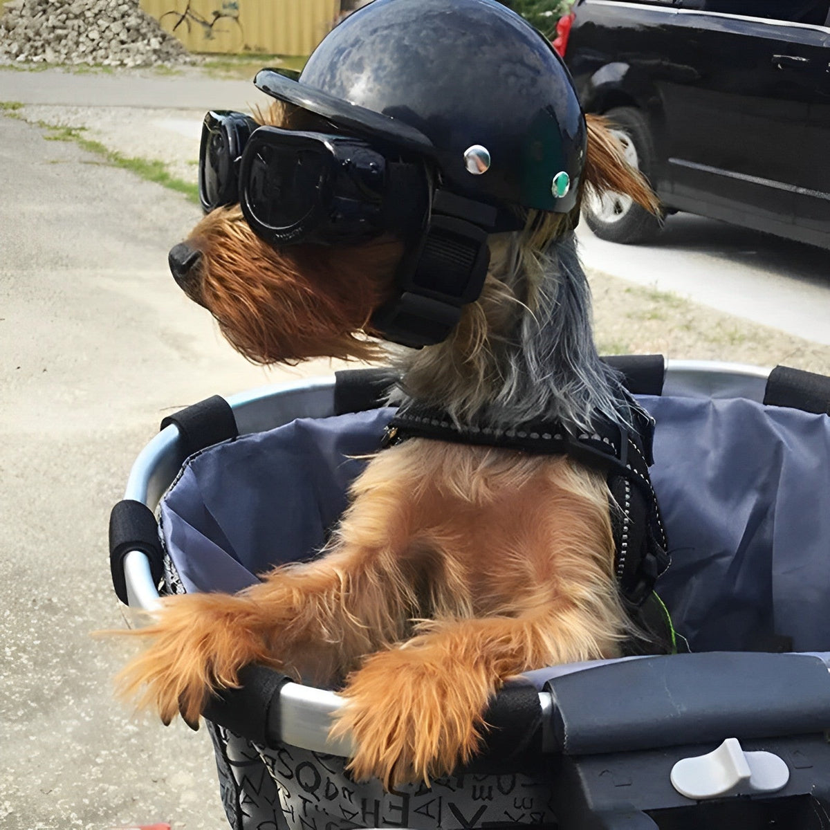 Motorcycle Dog Helmet With Goggles Pet Safety Gear TikTok Viral Fall 2025 Gift Idea