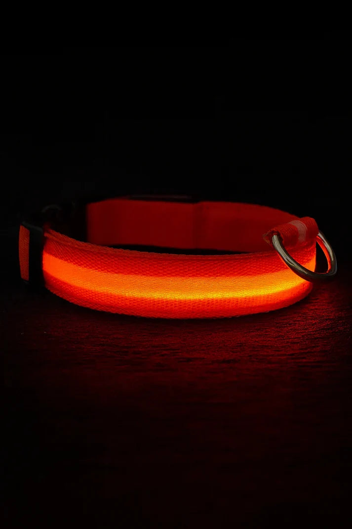 LED Dog Collar Battery-Powered Luminous Compact Dog Night Walks Fall 2025 Flashing Anti Lost Safety