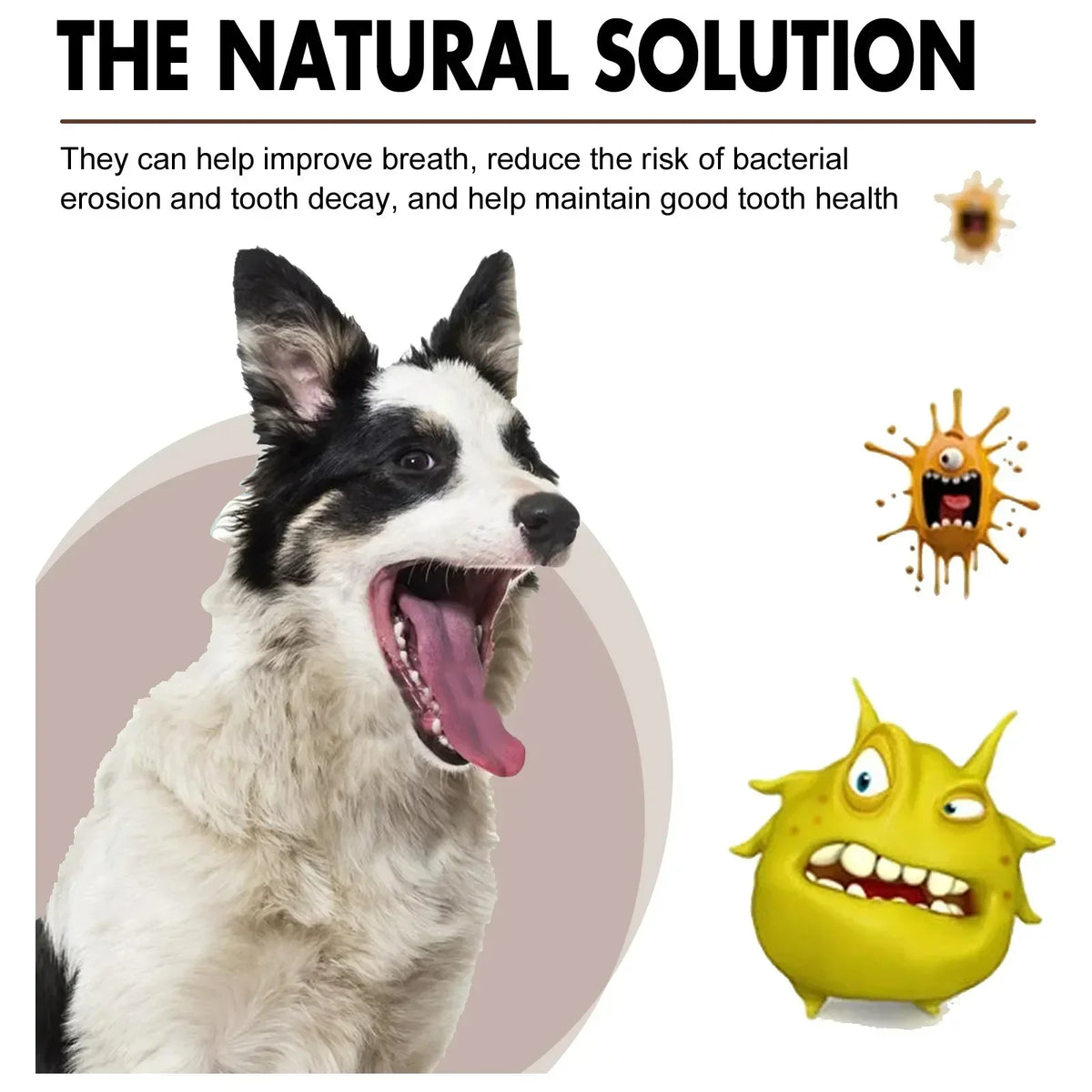 Pet Grooming Maintenance Dental Spray for Dogs & Cats - Bad Breath Freshener & Oral Cleaning, 30ml