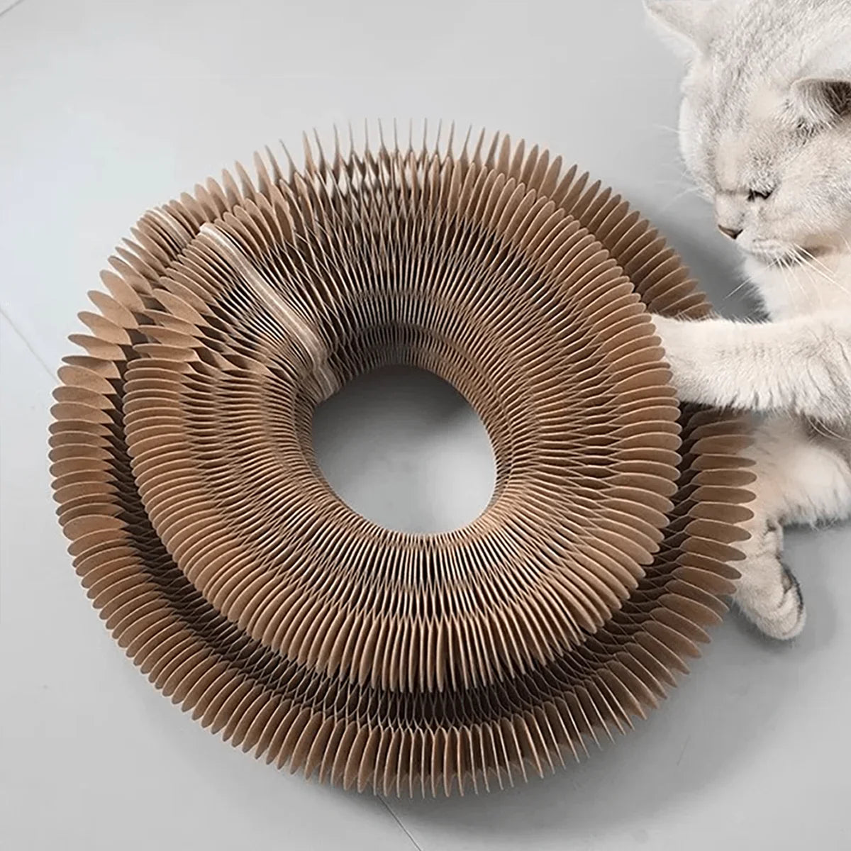 multi-level kitten claw toy 2026 – Foldable cardboard cat scratcher with catnip and bell