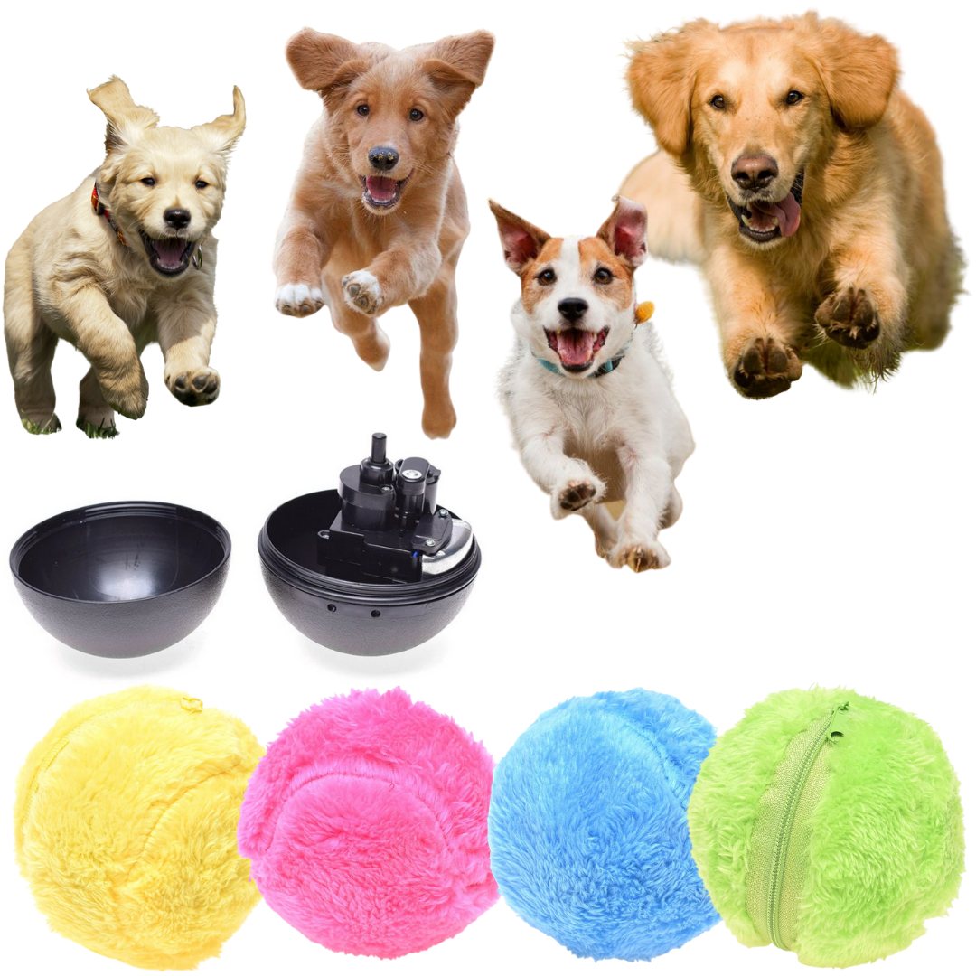 Toy Dog Interactive Rolling Ball for Dogs TikTok Viral Fall 2025 Gift Idea 4 Colors Included