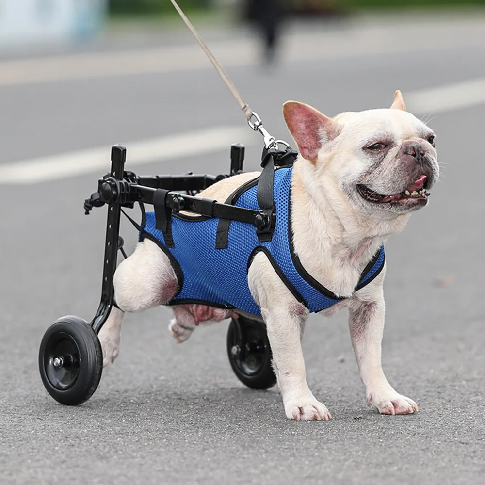 Dog Wheelchair Flexible Hind Leg Mobility Aid For Pets, Rehab Device And Independent Walking