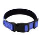 Reflective Dog Collar Fast-Lock Buckle - Safe Night Walks, Fall 2025 Gift Idea For Pets
