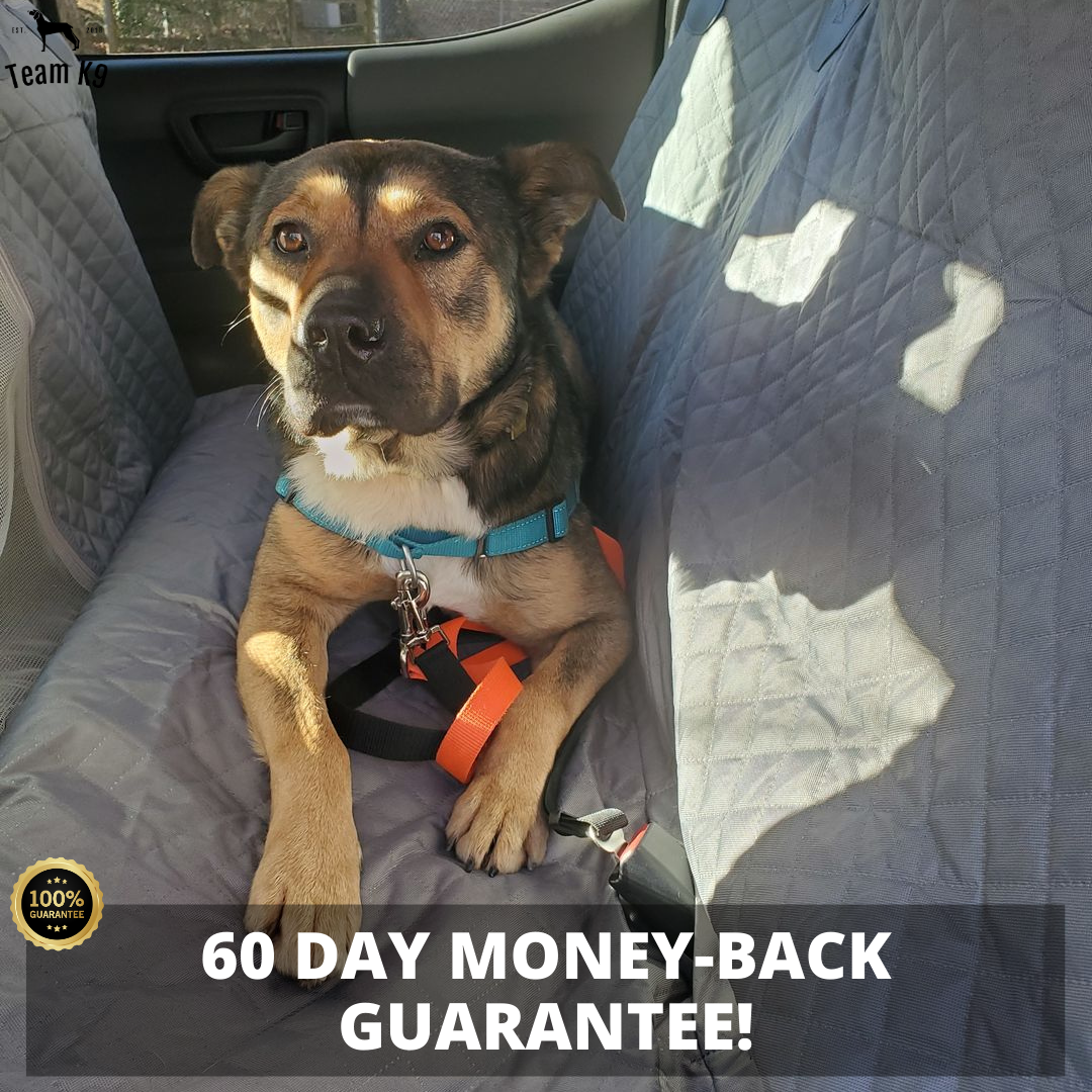Car Seat Hammock Cover, Water-Resistant Non Slip Backseat Protector With Pockets, Free Safety Belt, Fall 2025 Travel