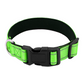 Reflective Dog Collar Fast-Lock Buckle - Safe Night Walks, Fall 2025 Gift Idea For Pets