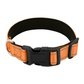 Reflective Dog Collar Fast-Lock Buckle - Safe Night Walks, Fall 2025 Gift Idea For Pets