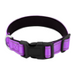 Reflective Dog Collar Fast-Lock Buckle - Safe Night Walks, Fall 2025 Gift Idea For Pets
