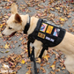 Tactical2025 Edition Dog Harness System All-In-One Training Bundle No-Pull Harness MOLLE Pouches Travel Water Bowl Holiday
