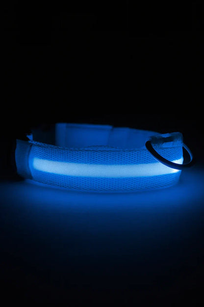 LED Dog Collar Battery-Powered Luminous Compact Dog Night Walks Fall 2025 Flashing Anti Lost Safety