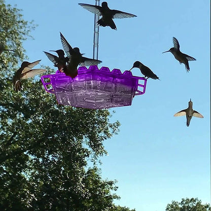 Feeder Hummingbird Ant Proof Outdoor Hanging Perch Hex
