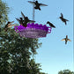 Feeder Hummingbird Ant Proof Outdoor Hanging Perch Hex
