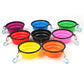 Collapsible Travel Bowl With Clip Silicone Dog Bowl Travel-Friendly Pet Hydration For Travel 2025 Holiday