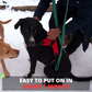 Dog Harness No-Choke Flexible Safety Harness Fall 2025 Trend Breathable Padding For Gentle Control