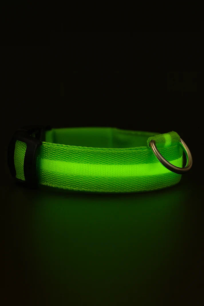 LED Dog Collar Battery-Powered Luminous Compact Dog Night Walks Fall 2025 Flashing Anti Lost Safety