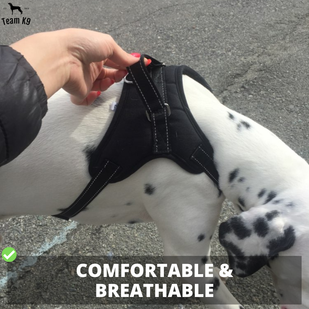Dog Harness No-Choke Flexible Safety Harness Fall 2025 Trend Breathable Padding For Gentle Control