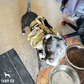 Tactical2025 Edition Dog Harness System All-In-One Training Bundle No-Pull Harness MOLLE Pouches Travel Water Bowl Holiday