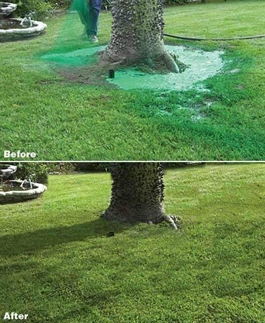 Liquid2025 Edition Lawn Seed Spray All In One Seeding Kit For Effortless Lawn Growth Fall