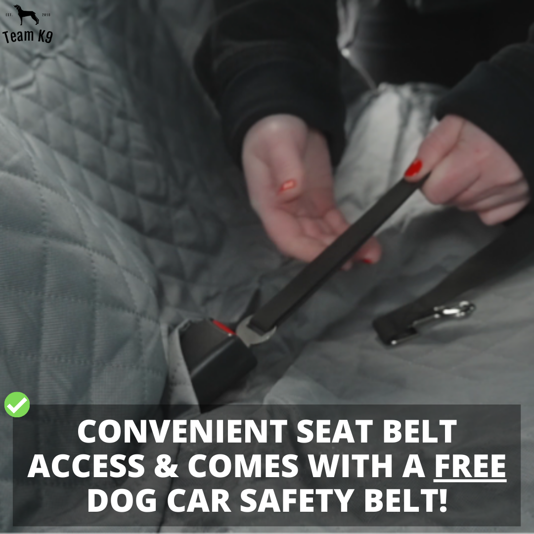 Car Seat Hammock Cover, Water-Resistant Non Slip Backseat Protector With Pockets, Free Safety Belt, Fall 2025 Travel