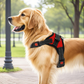 Dog Harness No-Choke Flexible Safety Harness Fall 2025 Trend Breathable Padding For Gentle Control