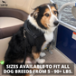 Dog Harness No-Choke Flexible Safety Harness Fall 2025 Trend Breathable Padding For Gentle Control