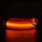 LED Dog Collar Battery-Powered Luminous Compact Dog Night Walks Fall 2025 Flashing Anti Lost Safety
