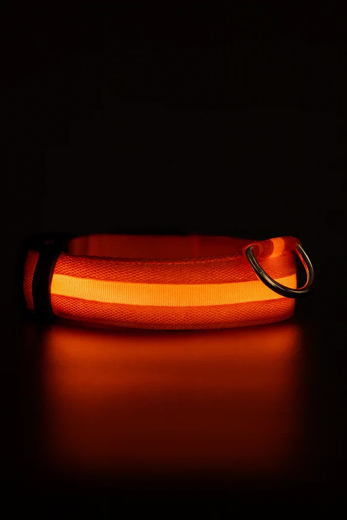 LED Dog Collar Battery-Powered Luminous Compact Dog Night Walks Fall 2025 Flashing Anti Lost Safety
