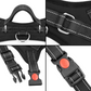 Dog Harness No-Choke Flexible Safety Harness Fall 2025 Trend Breathable Padding For Gentle Control