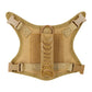 Flexible Padded Straps With Top Handle Fall 2025 Breathable Comfort For Regular Walks – Tactical Dog Harness