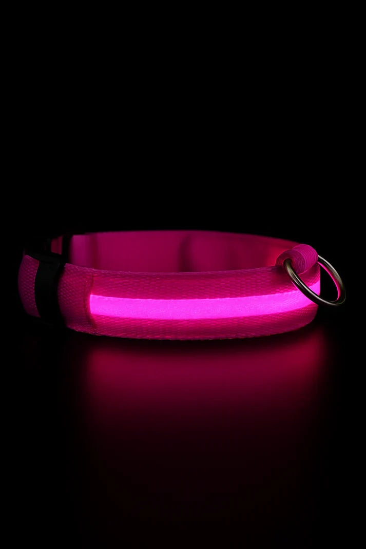 LED Dog Collar Battery-Powered Luminous Compact Dog Night Walks Fall 2025 Flashing Anti Lost Safety