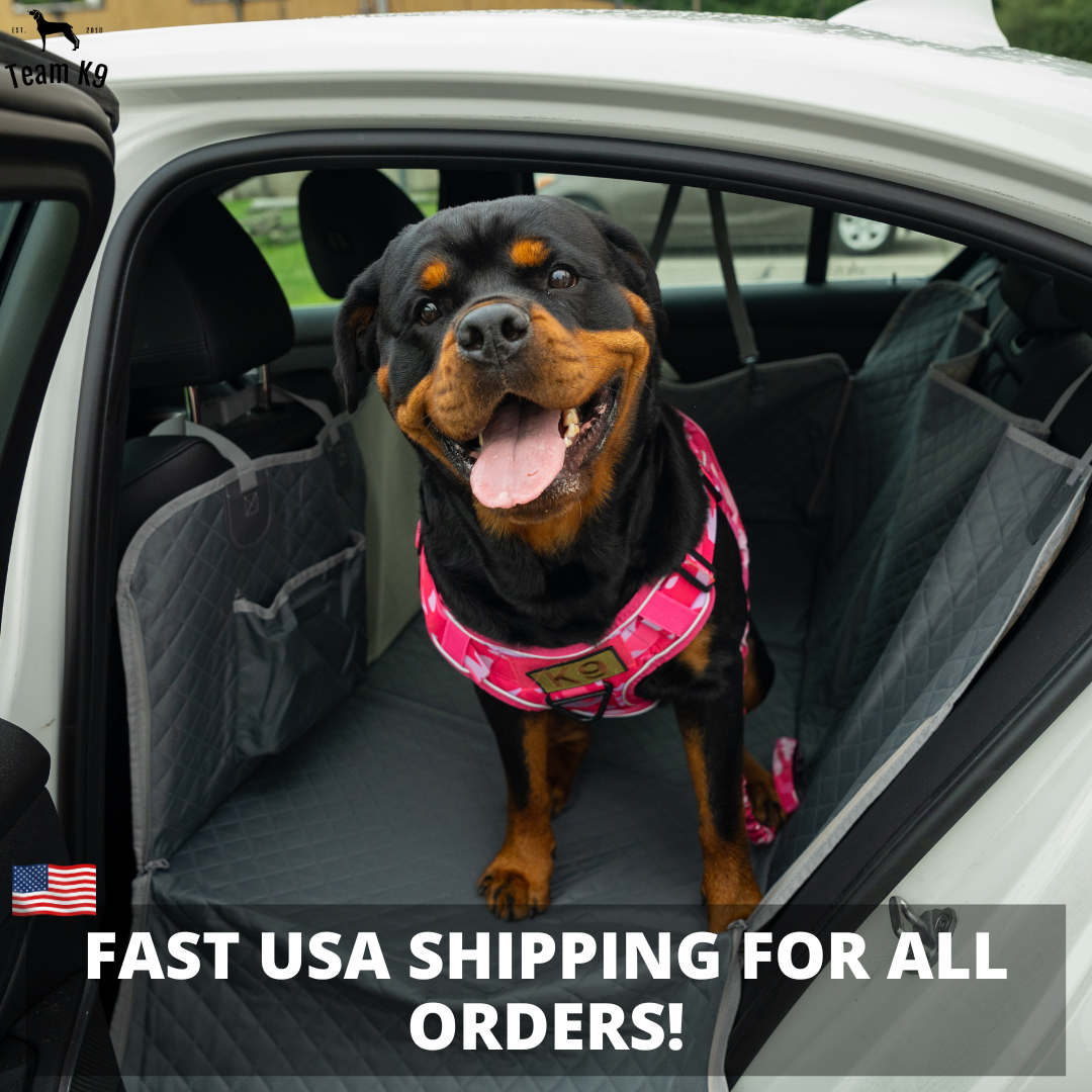 Car Seat Cover Hammock Water-Resistant Protector With Storage Pockets And Mesh Window For Cars And Trucks Fall 2025 Gift