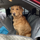 Car Seat Hammock Cover, Water-Resistant Non Slip Backseat Protector With Pockets, Free Safety Belt, Fall 2025 Travel