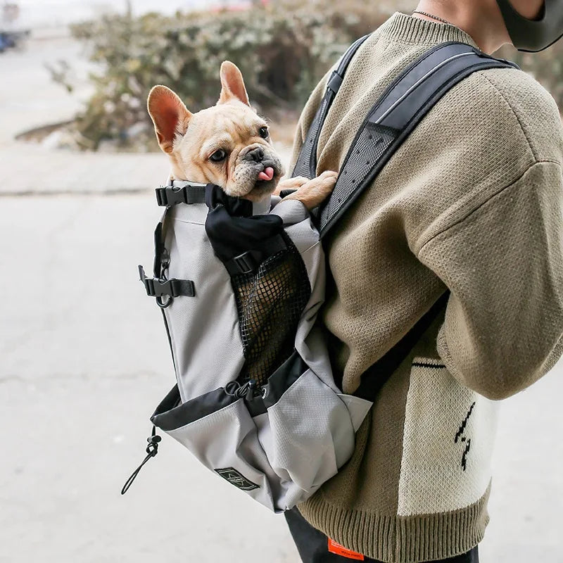 Dog Carrier Backpack Breathable Hands-Free Pet Carrier Pack Fall 2025 Outdoor Travel Comfort Compact Dogs