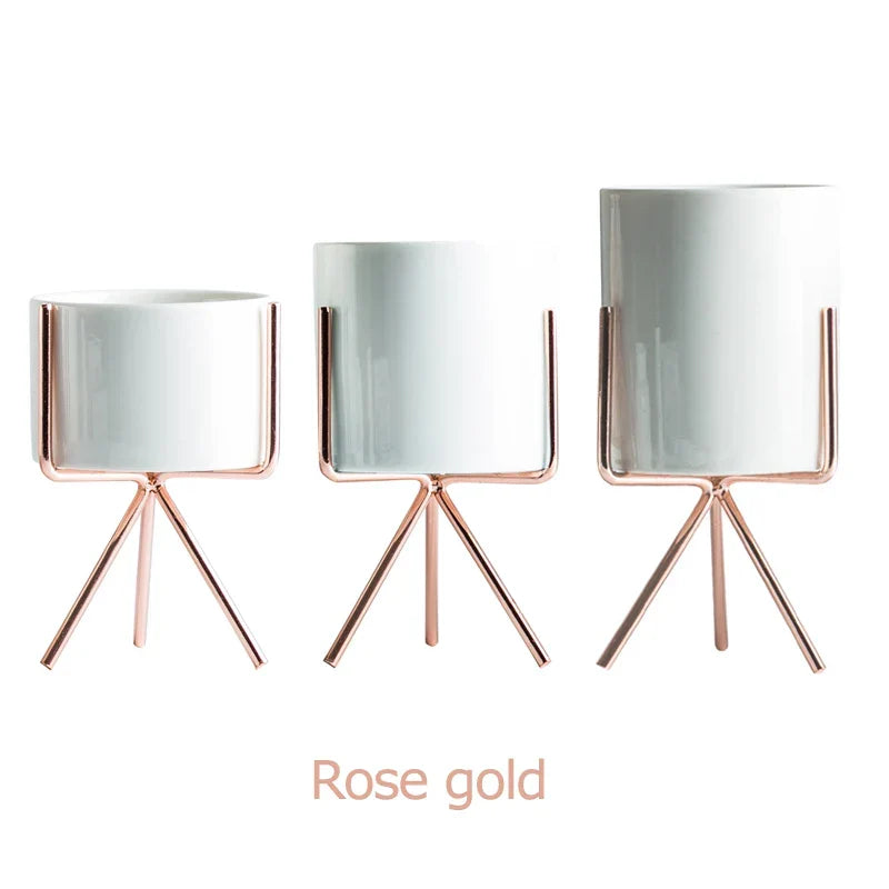 Ceramic Planters Kit Of 3 With Gold Iron Stand Contemporary Desktop Succulent Planters Fall 2025 Trendy Gift