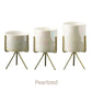 Ceramic Planters Kit Of 3 With Gold Iron Stand Contemporary Desktop Succulent Planters Fall 2025 Trendy Gift