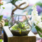Glass Terrarium Gold Patterned Planter Contemporary Desktop Plant Display Fall 2025, Succulent Bonsai Gift