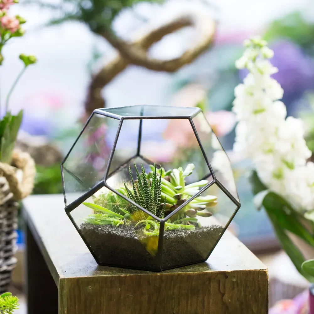 Glass Terrarium Gold Patterned Planter Contemporary Desktop Plant Display Fall 2025, Succulent Bonsai Gift