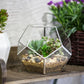 Glass Terrarium Gold Patterned Planter Contemporary Desktop Plant Display Fall 2025, Succulent Bonsai Gift