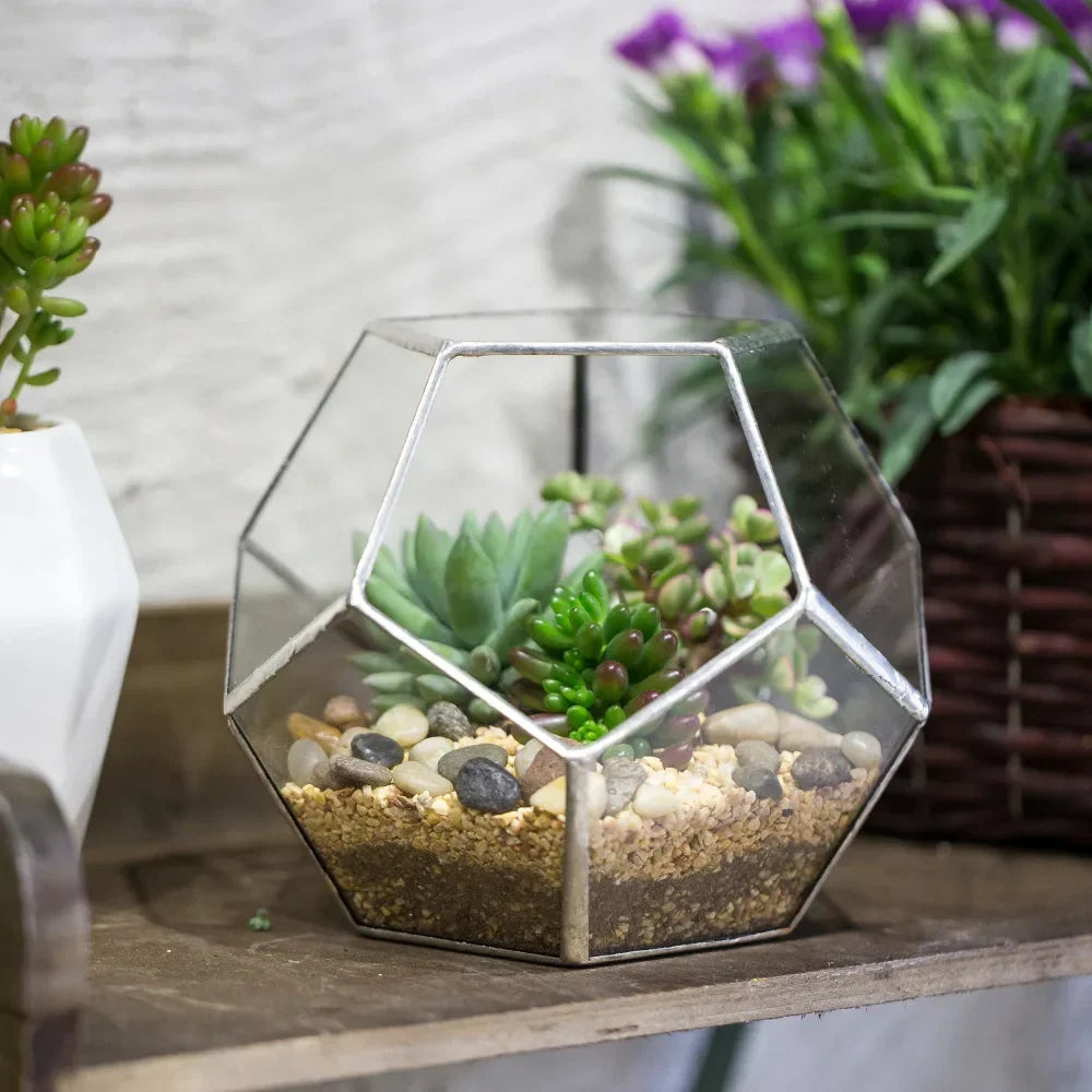 Glass Terrarium Gold Patterned Planter Contemporary Desktop Plant Display Fall 2025, Succulent Bonsai Gift