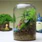 Glass Terrarium Vase Round Bottom Handmade Succulent Terrarium Kit Fall 2025 Tabletop Household Decor Gift