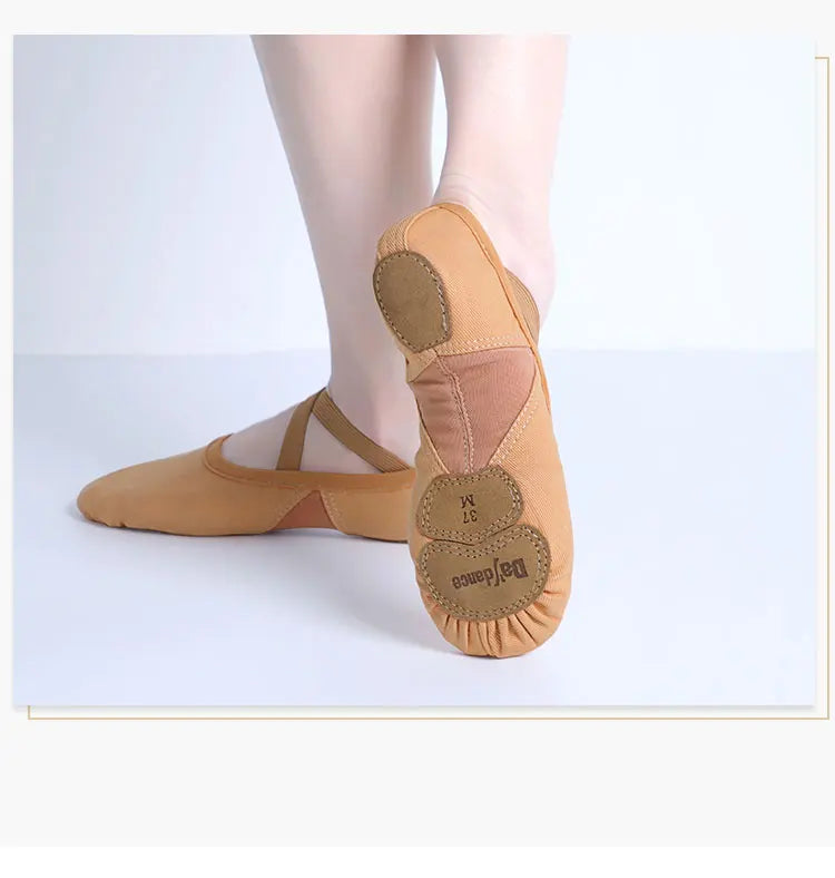 Flattering Supportive Women Ballet Shoes - Split Sole Mesh