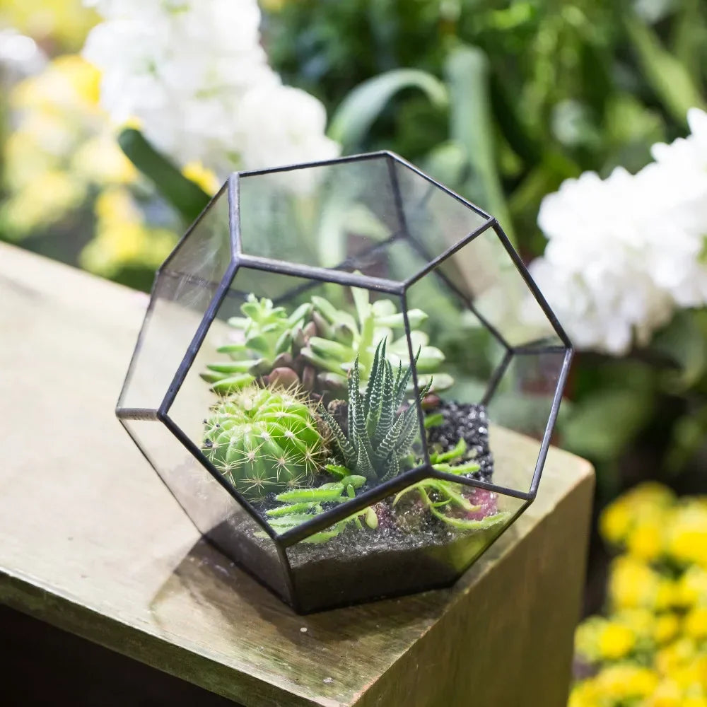 Glass Terrarium Gold Patterned Planter Contemporary Desktop Plant Display Fall 2025, Succulent Bonsai Gift