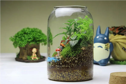 Glass Terrarium Vase Round Bottom Handmade Succulent Terrarium Kit Fall 2025 Tabletop Household Decor Gift