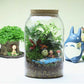 Glass Terrarium Vase Round Bottom Handmade Succulent Terrarium Kit Fall 2025 Tabletop Household Decor Gift