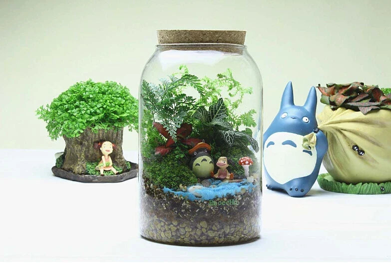 Glass Terrarium Vase Round Bottom Handmade Succulent Terrarium Kit Fall 2025 Tabletop Household Decor Gift