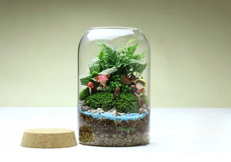 Glass Terrarium Vase Round Bottom Handmade Succulent Terrarium Kit Fall 2025 Tabletop Household Decor Gift