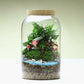 Glass Terrarium Vase Round Bottom Handmade Succulent Terrarium Kit Fall 2025 Tabletop Household Decor Gift