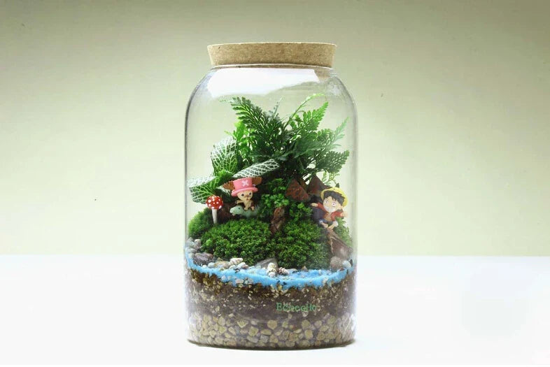 Glass Terrarium Vase Round Bottom Handmade Succulent Terrarium Kit Fall 2025 Tabletop Household Decor Gift