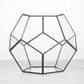 Glass Terrarium Gold Patterned Planter Contemporary Desktop Plant Display Fall 2025, Succulent Bonsai Gift