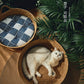 Rattan Cat Nest Handwoven Bamboo Bed Four Seasons 2025 Organic Cool Cozy Hideaway Eco Friendly
