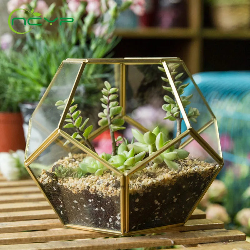Glass Terrarium Gold Patterned Planter Contemporary Desktop Plant Display Fall 2025, Succulent Bonsai Gift